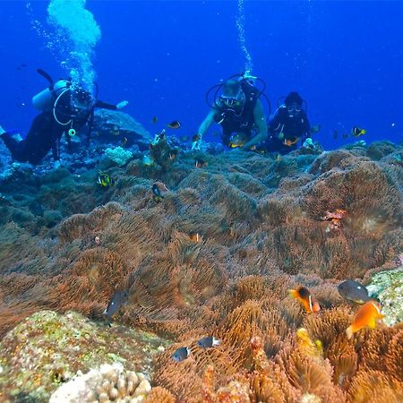 Reef Resort Vava'U Utungake Eksteriør billede
