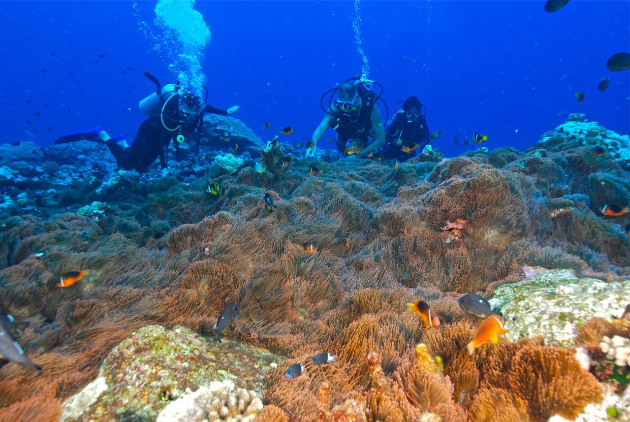 Reef Resort Vava'U Utungake Eksteriør billede